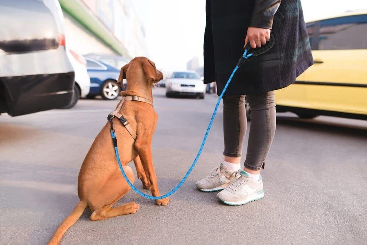 Extra Strong Reflective Rope Dog Lead with Foam Padded Handle Leash 5Ft 150Cm